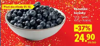 Kanadské borůvky
