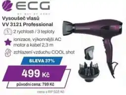 Expert ECG Vysoušeč vlasů VV 3121 Professional nabídka
