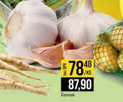 Jip ČESNEK nabídka