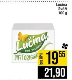 Jip LUČINA svěží nabídka