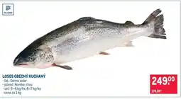 Makro Losos obecný kuchaný nabídka