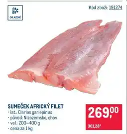 Makro Sumeček africký filet nabídka