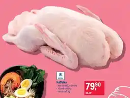 Makro KACHNA nabídka
