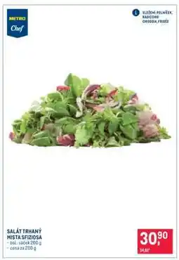 Makro Salát trhaný „Mista sfiziosa“ nabídka