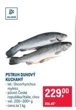 Makro Pstruh duhový kuchaný nabídka