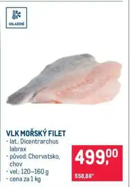 Makro Vlk mořský filet nabídka