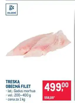 Makro Treska obecná – filet nabídka