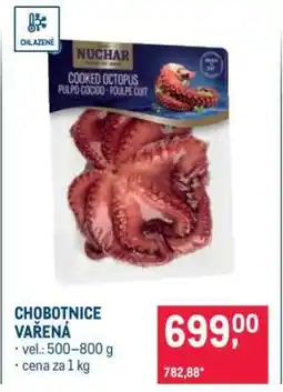 Makro Chobotnice vařená nabídka