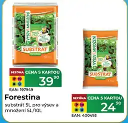 Tamda Foods Forestina nabídka