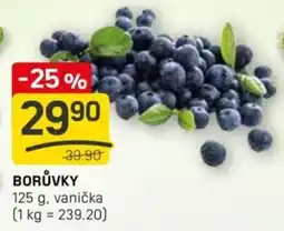 Flop Borůvky vanička nabídka