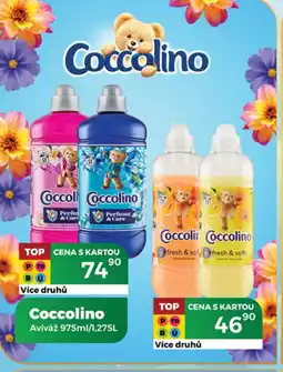 Tamda Foods Coccolino Aviváž nabídka
