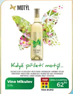 Tamda Foods Víno Mikulov nabídka