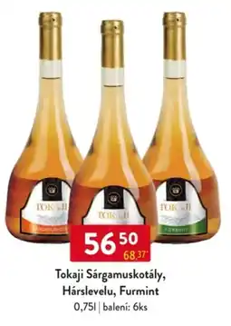 Qanto Tokaji Sárgamuskotály, Hárslevelu, Furmint nabídka