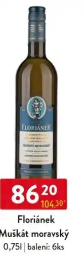 Qanto Floriánek Muškát moravský nabídka