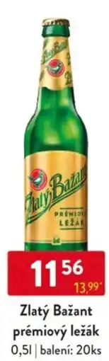 Qanto Zlatý Bažant prémiový ležák nabídka