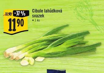Jip Cibule lahůdková svazek nabídka
