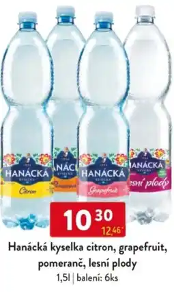 Qanto Hanácká kyselka citron, grapefruit, pomeranč, lesní plody nabídka