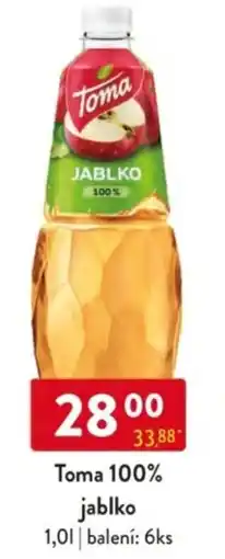 Qanto Toma 100% jablko nabídka