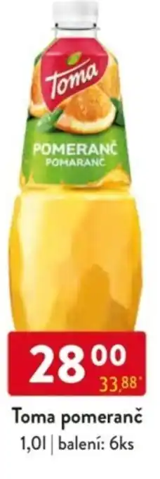 Qanto Toma pomeranč nabídka