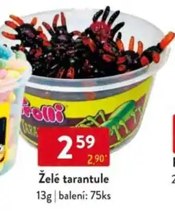 Qanto Želé tarantule nabídka