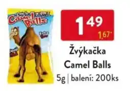 Qanto Žvýkačka Camel Balls nabídka