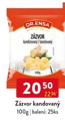 Qanto DR.ENSA Zázvor kandovaný nabídka