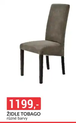 Baumax Židle tobago nabídka