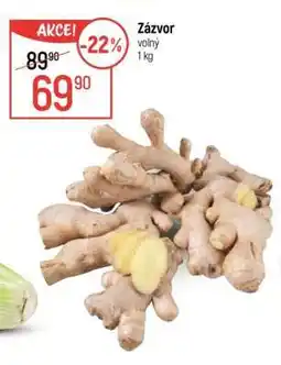 Globus Zázvor nabídka