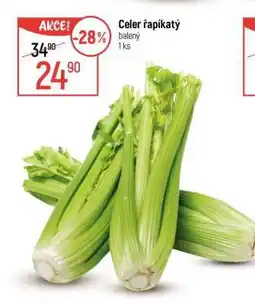 Globus Celer řapíkatý nabídka