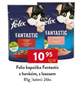 Qanto Felix kapsička Fantastic s hovězím, s lososem nabídka