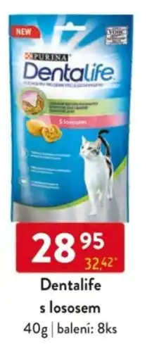 Qanto Dentalife s lososem nabídka