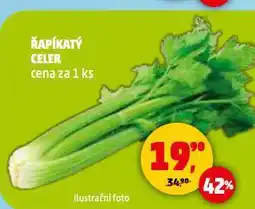 Penny Market Řapíkatý celer nabídka