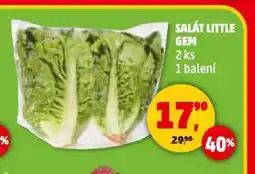 Penny Market Salát little gem nabídka
