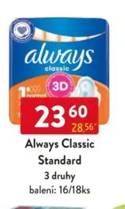 Qanto Always Classic Standard nabídka