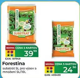 Tamda Foods Forestina substrát 5L pro výsev a množení 5L/10L nabídka