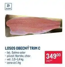 Makro LOSOS OBECNÝ TRIM C nabídka