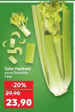 Kaufland Celer řapíkatý nabídka