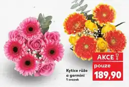 Kaufland Kytice - Růže a germini nabídka