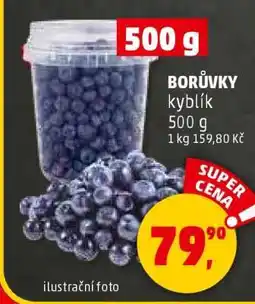 Penny Market BORŮVKY kyblík nabídka