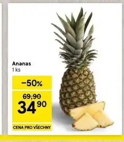 Tesco Ananas nabídka