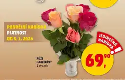 Penny Market RŮŽE HARLEKÝN, 1 svazek nabídka