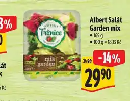 Albert Albert Salát Garden mix 165 g nabídka