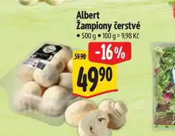 Albert Albert Žampiony čerstvé 500 g nabídka