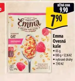 Albert Emma Ovesná kaše 65 g nabídka