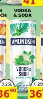 BENE Nápoje AMUNDSEN VODKA & SODA 0,25L míchaný drink nabídka