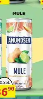 BENE Nápoje AMUNDSEN MULE 0,25L míchaný drink nabídka