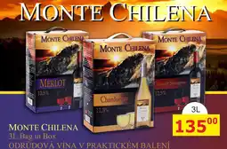 BENE Nápoje MONTE CHILENA 3L Bag in Box nabídka