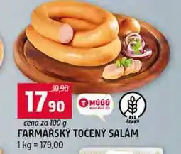 Terno FARMÁŘSKÝ TOČENÝ SALÁM 100g nabídka