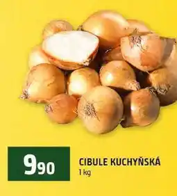 Terno CIBULE KUCHYŇSKÁ 1 kg nabídka
