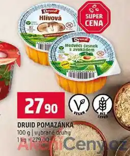 Terno DRUID POMAZÁNKA 100 g vybrané druhy nabídka